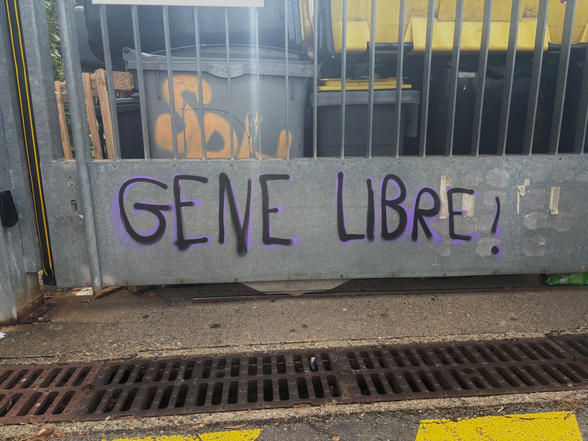 Graffiti violet et noir « Gene libre ! » sur un portail métallique